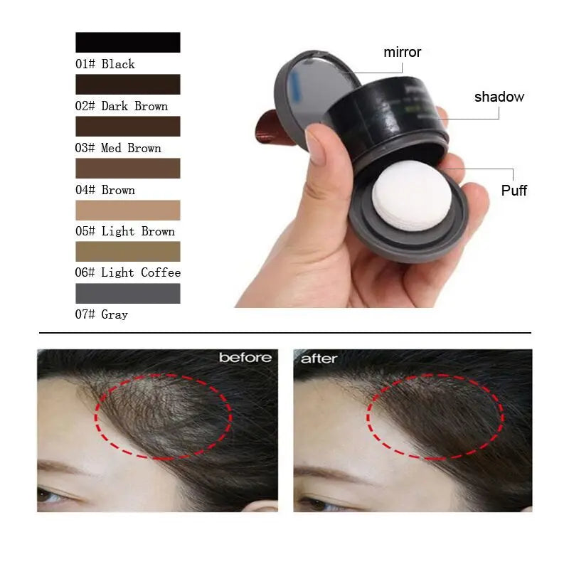Sevich Hairline Repair Filling Powder With Puff